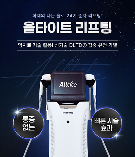 ��Ÿ��Ʈ����